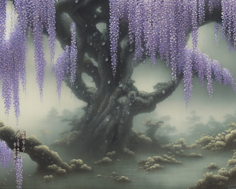 Ancient tree with cascading purple wisteria blooms over tranquil misty pond