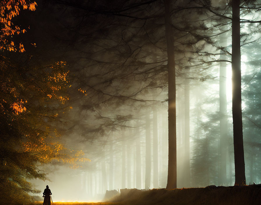 Person standing in misty forest with warm light and autumn leaves