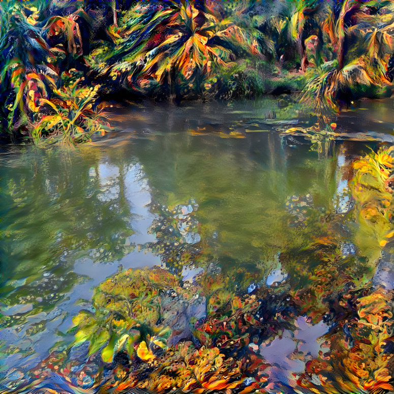 Tranquil Tropical Water Stream 