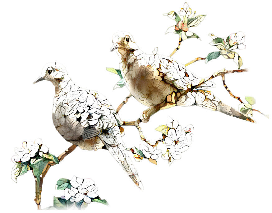 Flower Doves