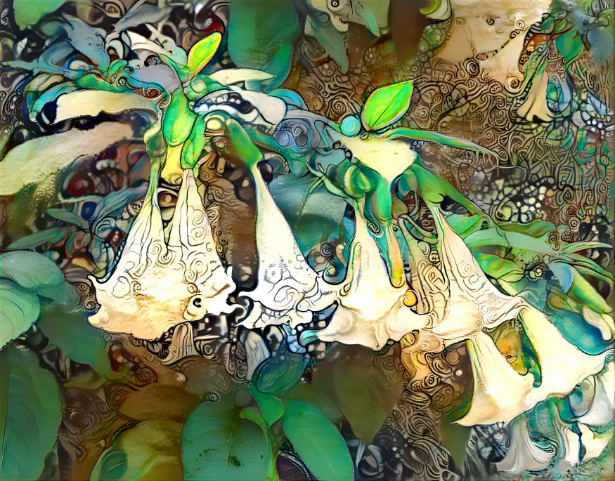 Angels Trumpet Flowers