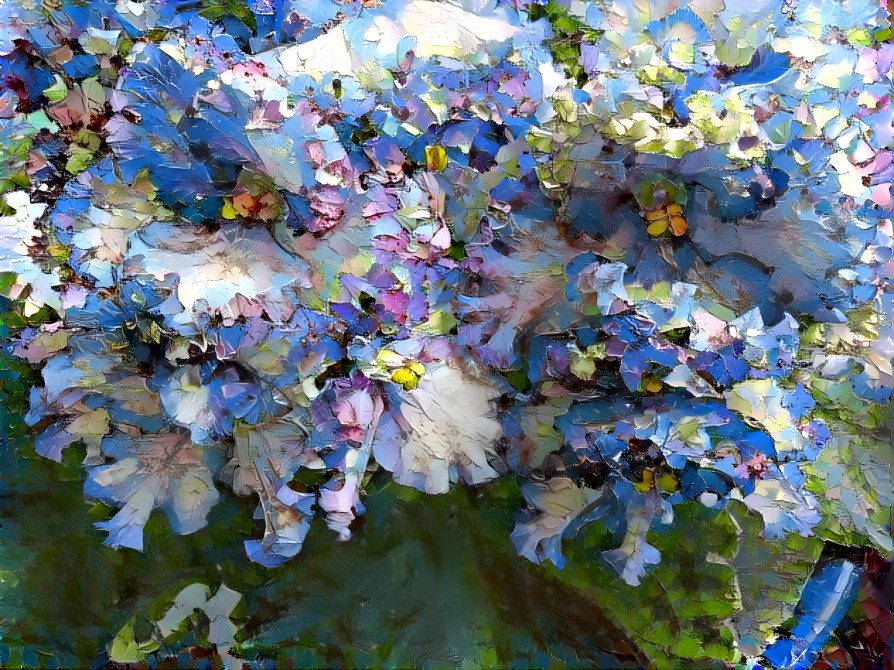 Blue-White African Violets