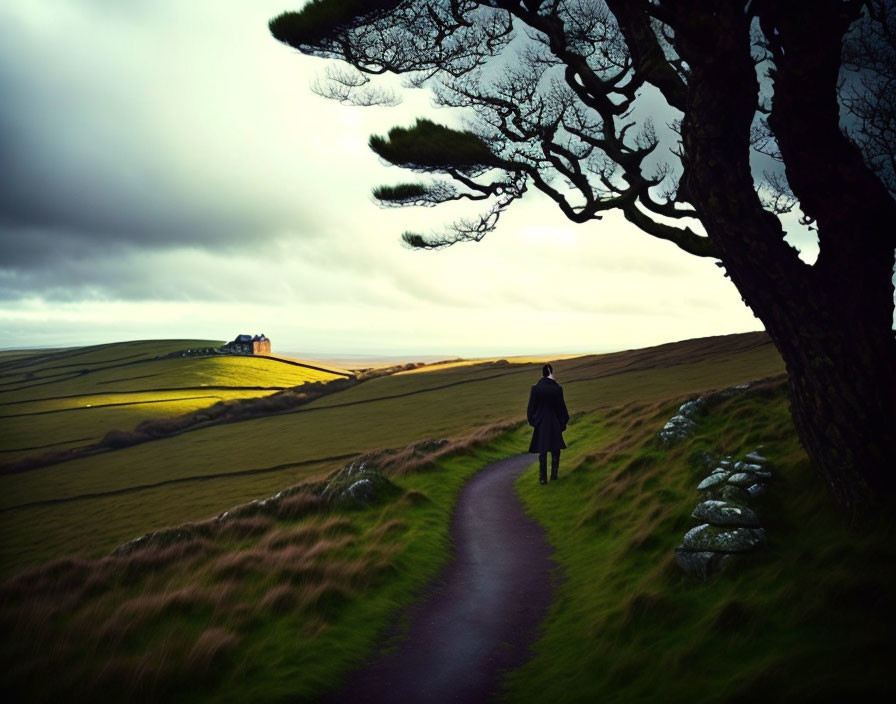 Solitary figure walking in tranquil landscape with tree and distant building under moody sky