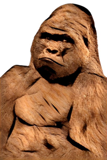 Beige Gorilla