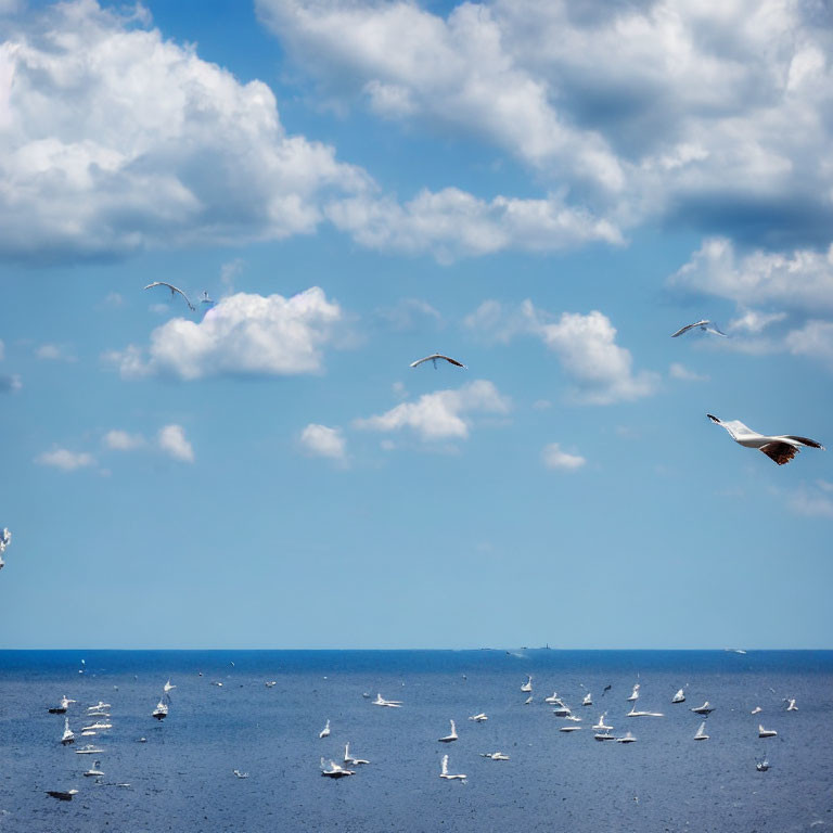 Tranquil Seascape with Flying Seagulls and Cloudy Sky