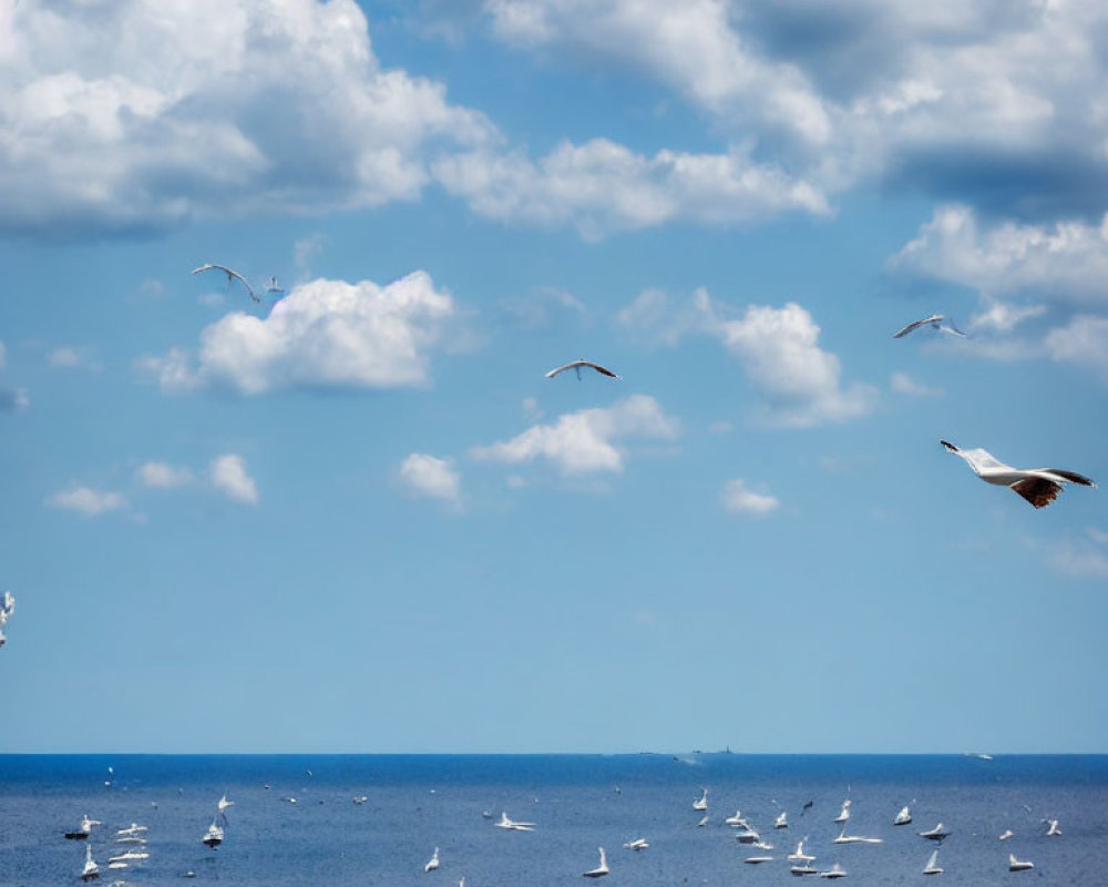 Tranquil Seascape with Flying Seagulls and Cloudy Sky