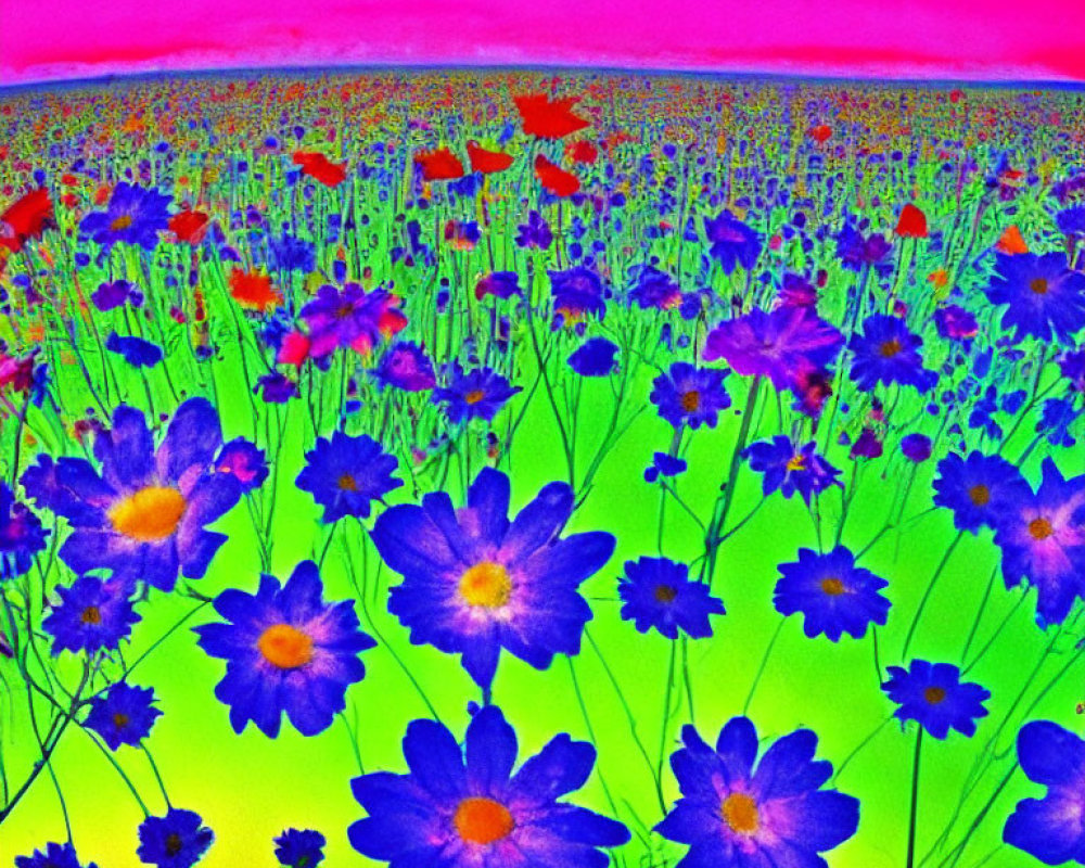 Vibrant thermal imaging field of flowers with gradient sky