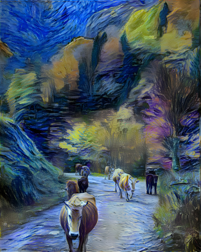 Cows in forest