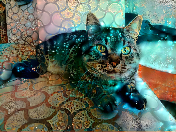 Psycidelic Kitty