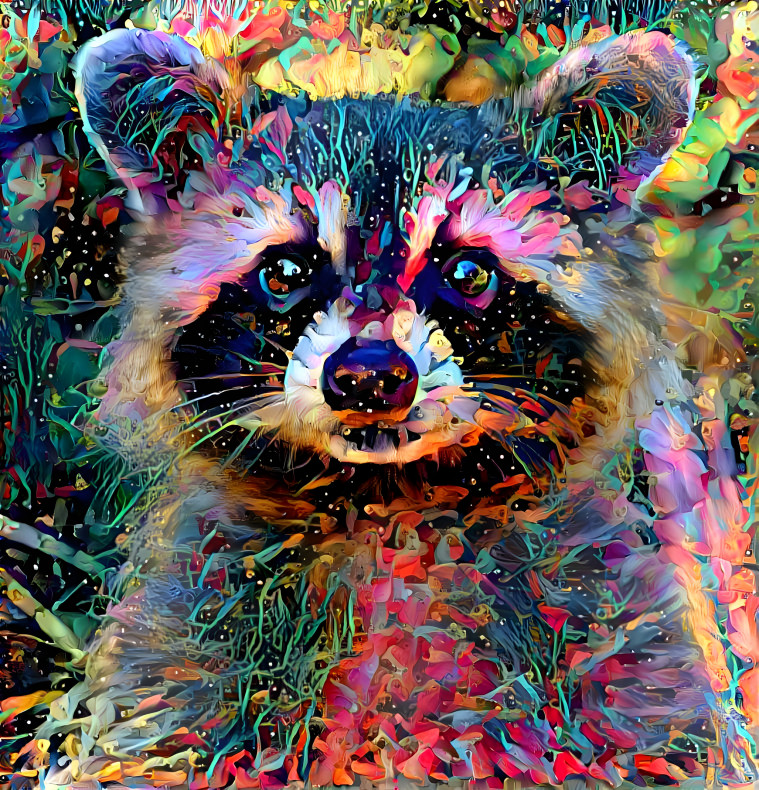 Racoon #2