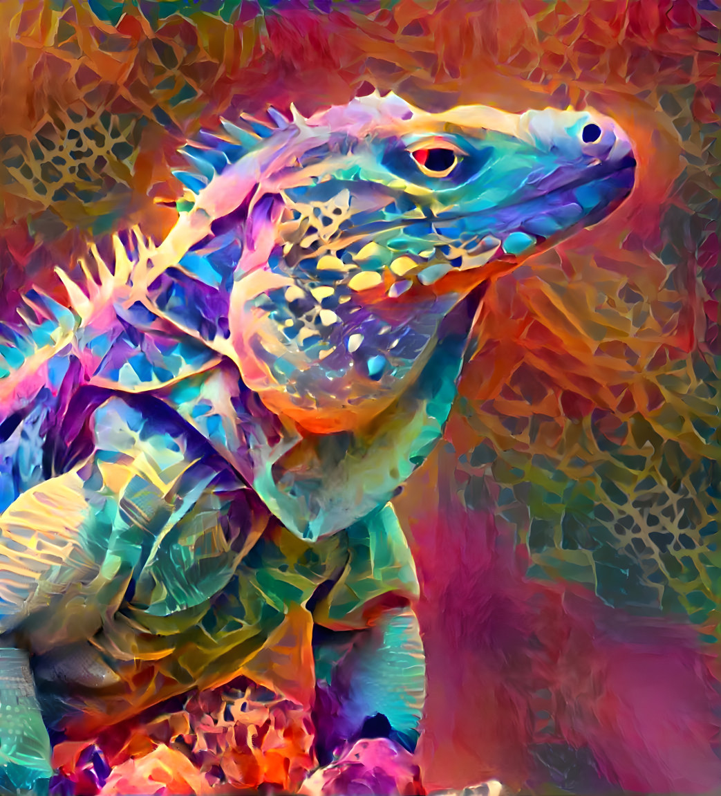 Iguana #3