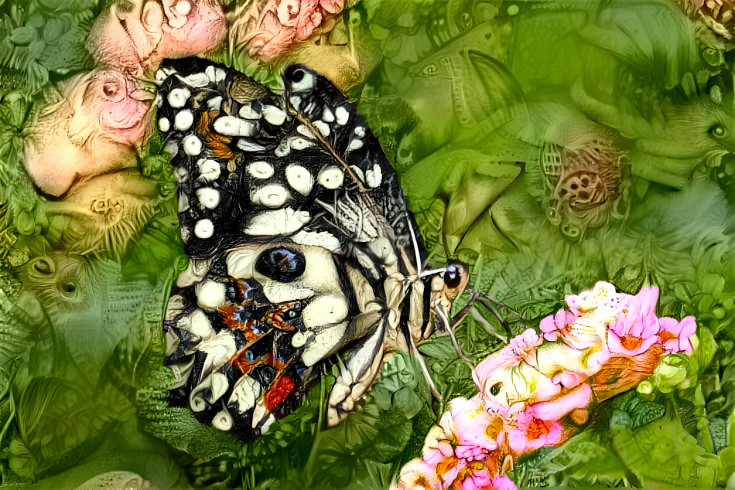 Butterfly on a flower #3