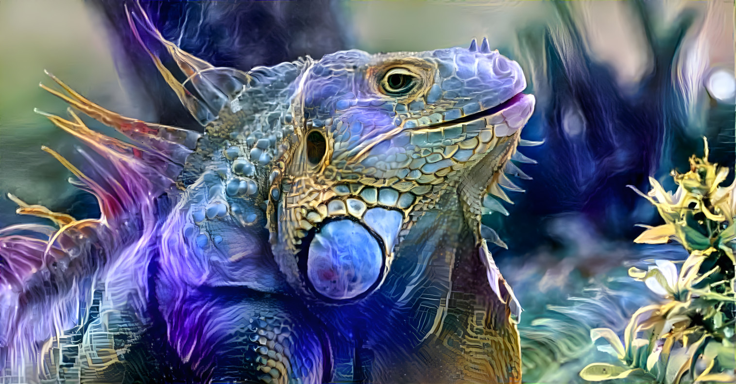 Iguana #1