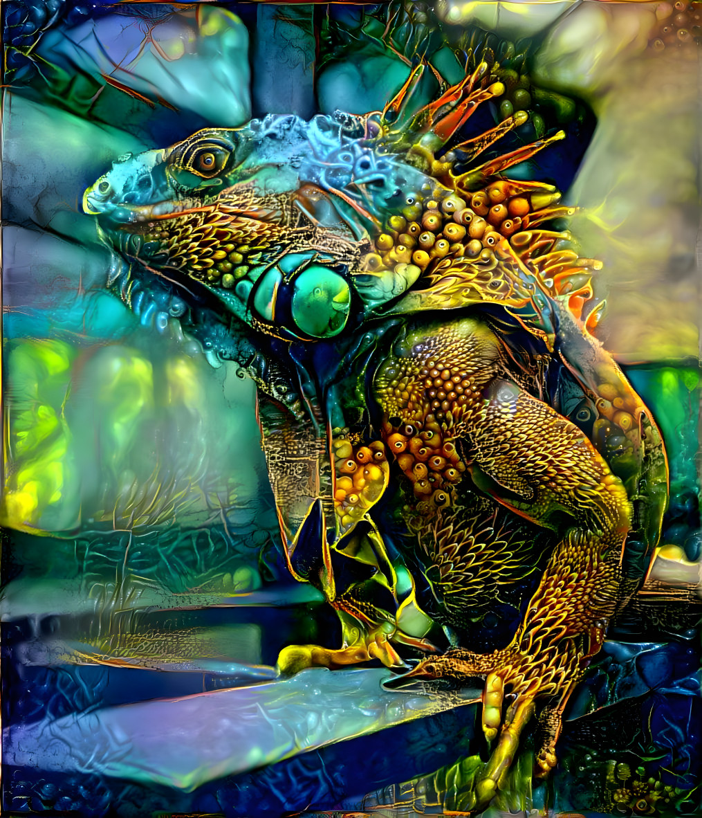 Iguana #5