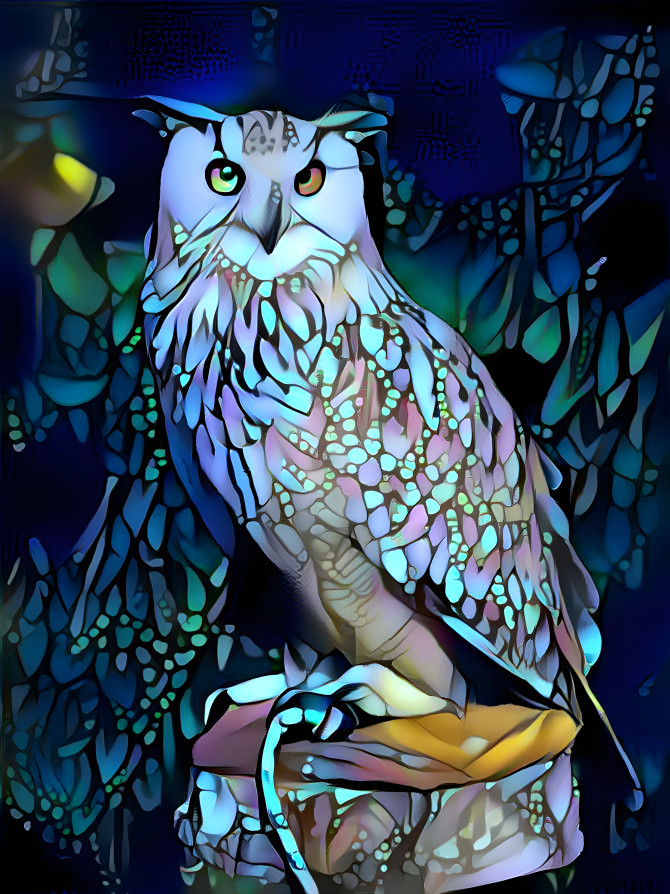 New Owl