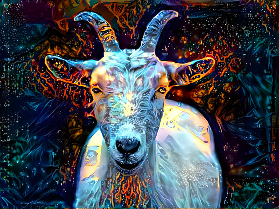 Crazy Goat