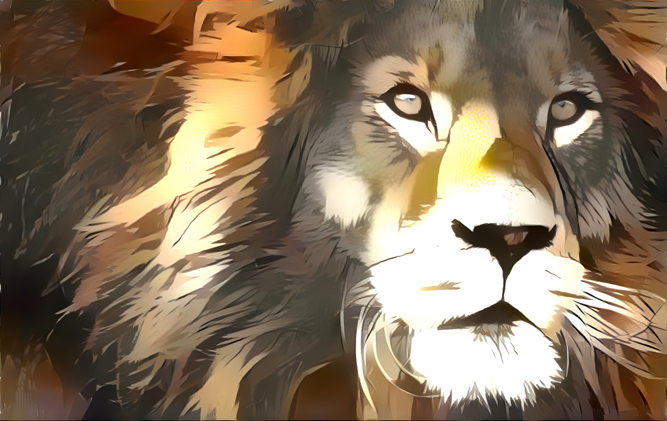 lion2