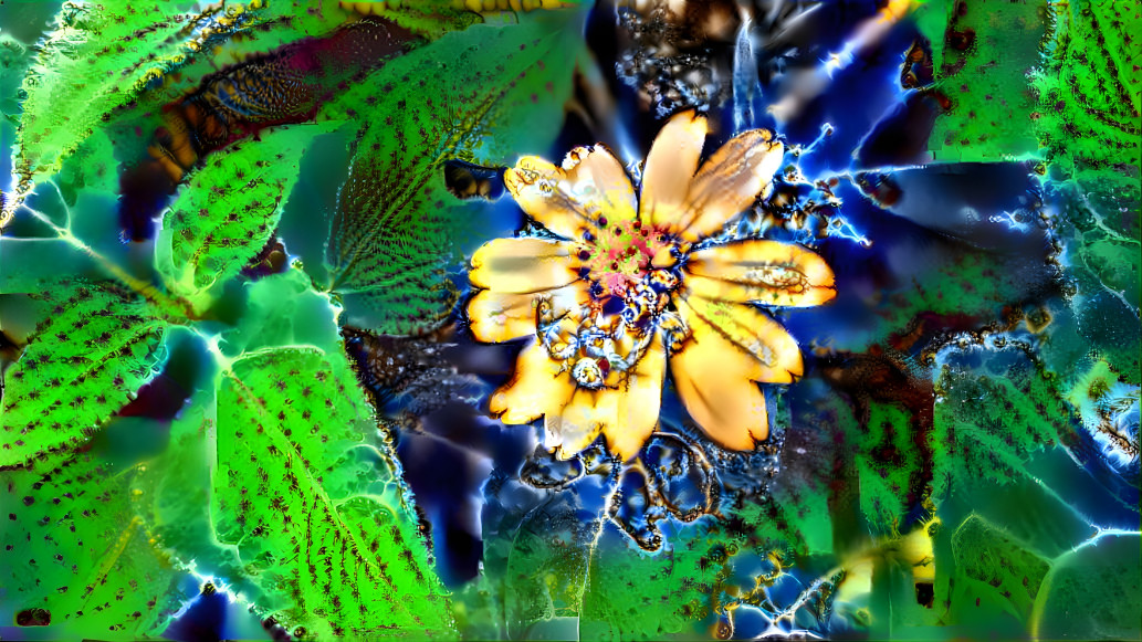 Flower_Spider_Fractal