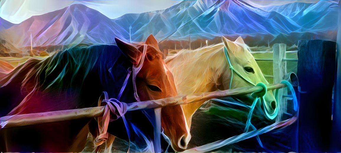 Horses