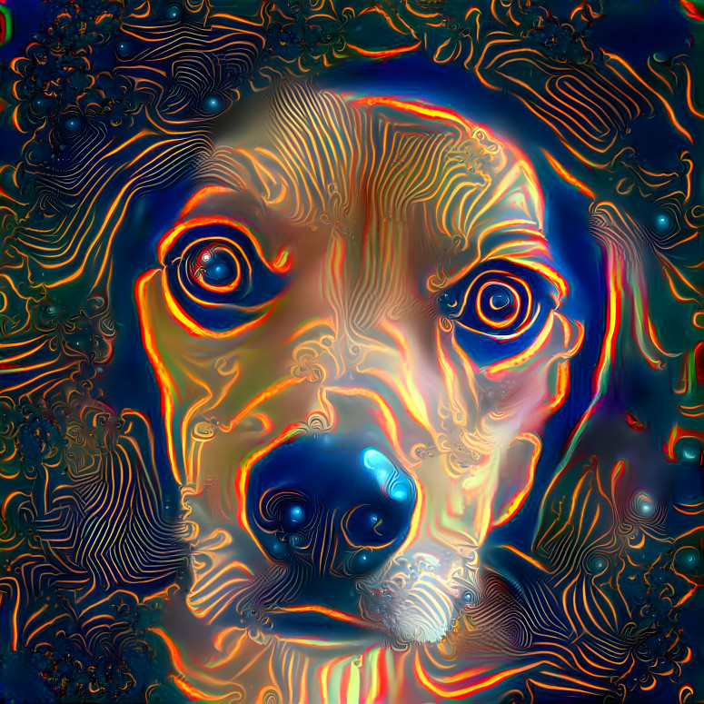 Psychedelic Doggo