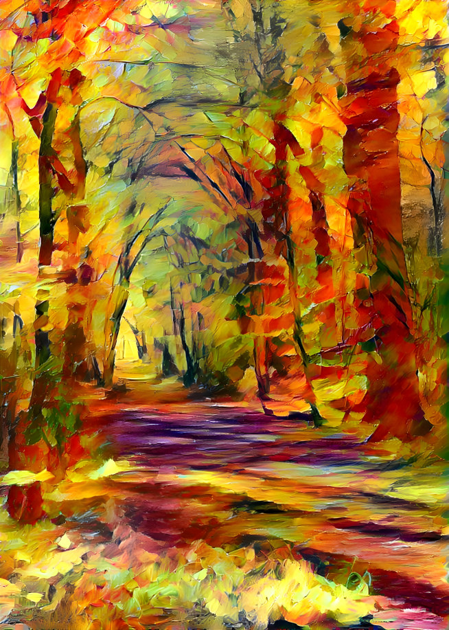 Forest at Fall time