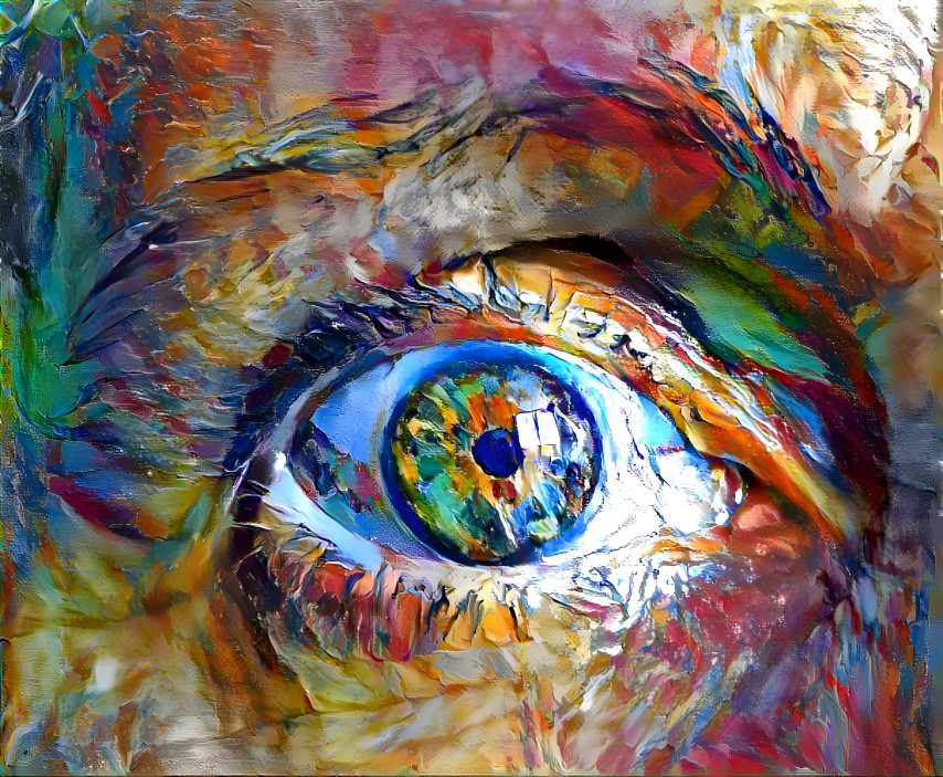 Eye