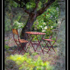 Charming garden scene with bistro table and flowers