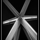 Monochrome dandelion flowers in vase with blowing seeds against backlit backdrop