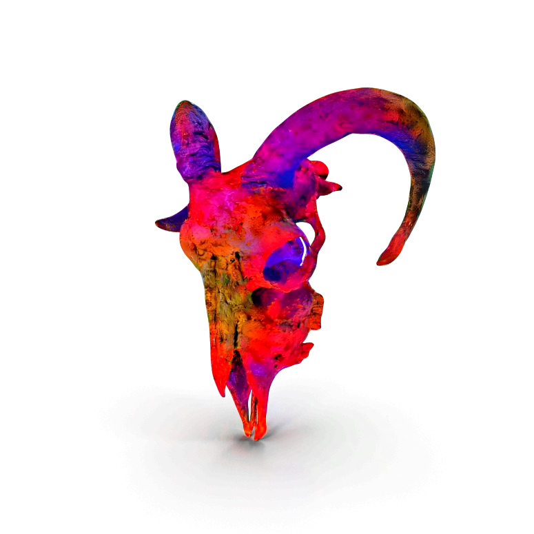 Red Ram Skull