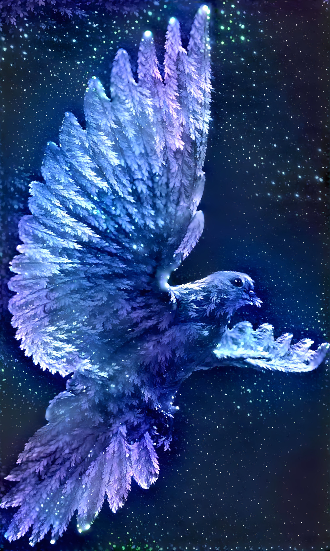 Bird and stars