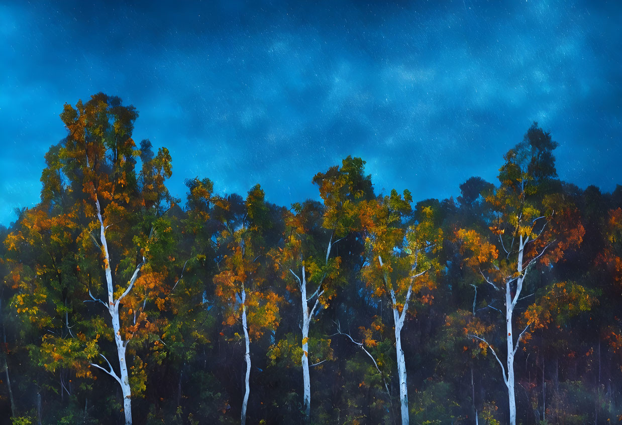 Autumn Trees Under Starry Night Sky