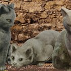 Three stone cat statues against brick wall - ancient aesthetic