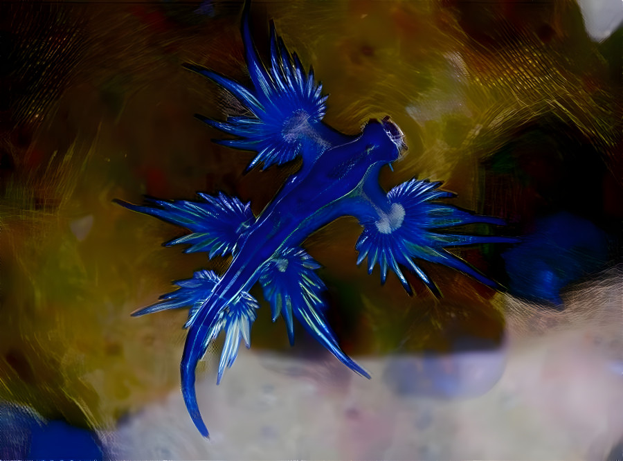 Nudibranch