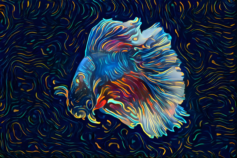 Betta Fish