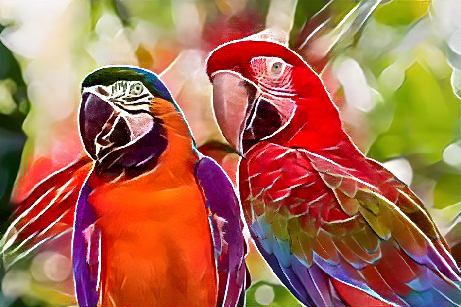 Macaws