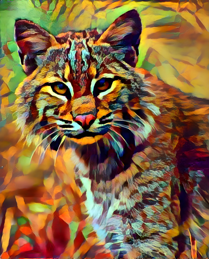 Beautiful Wild Cat Painting