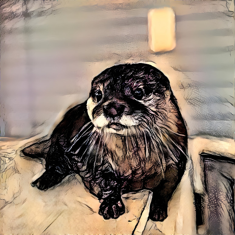 Otter drawing