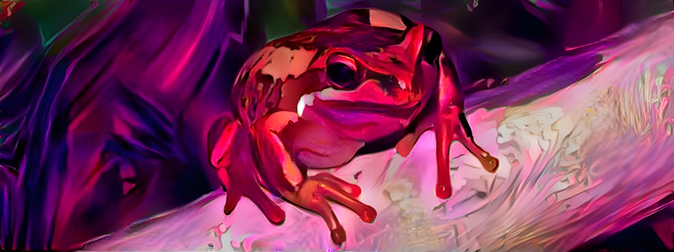 Red Mist Frog