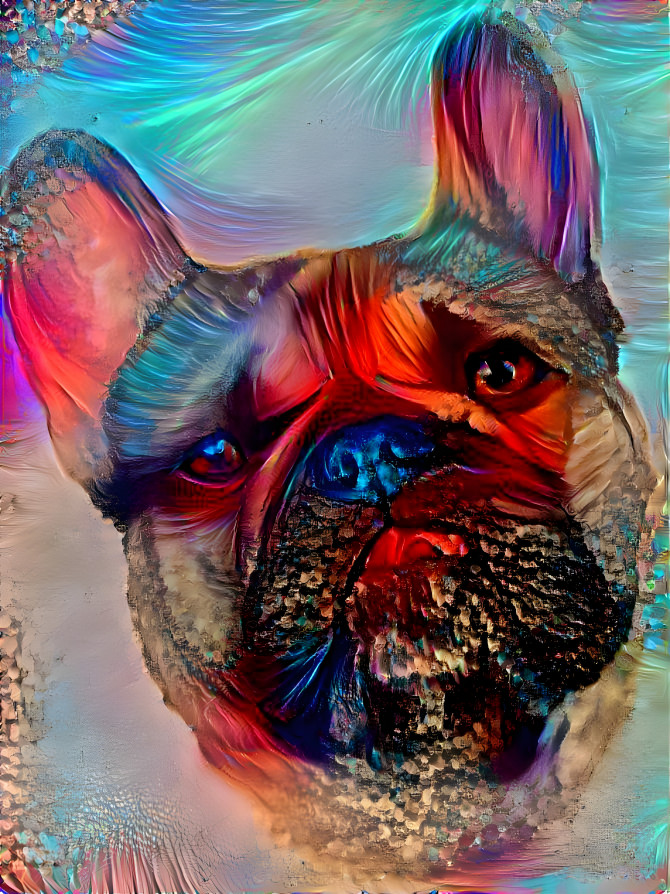 Freely Frenchie