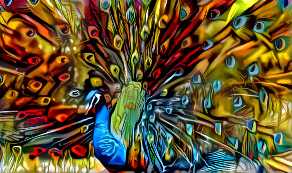 peacock