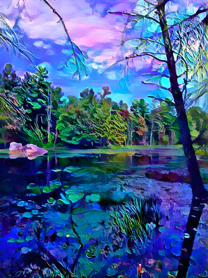 Pond in the forest 