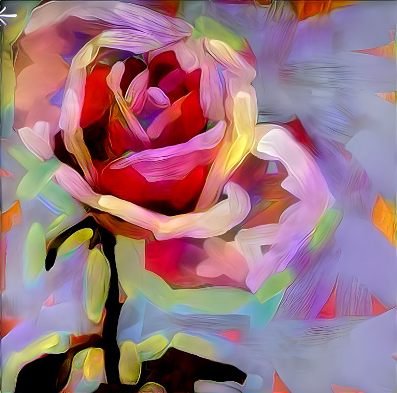 Rose Study 5