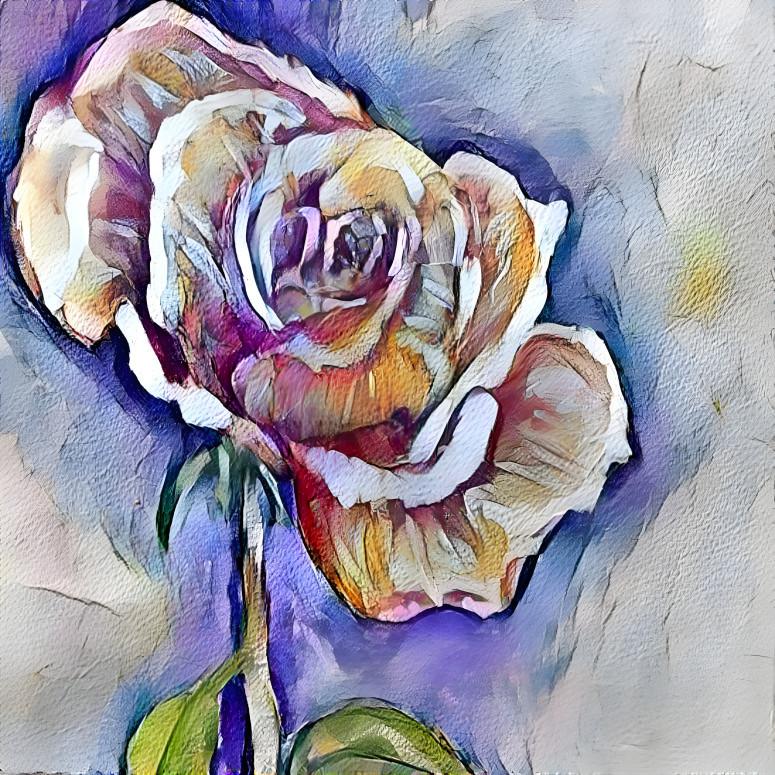 Rose Study 18