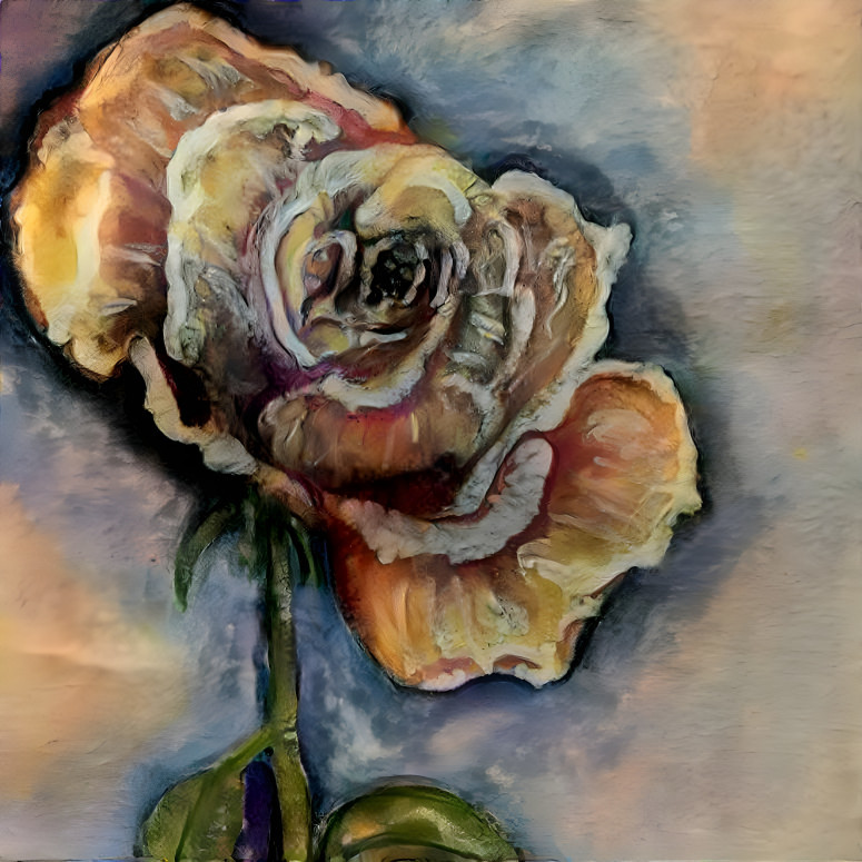 Rose Study 20