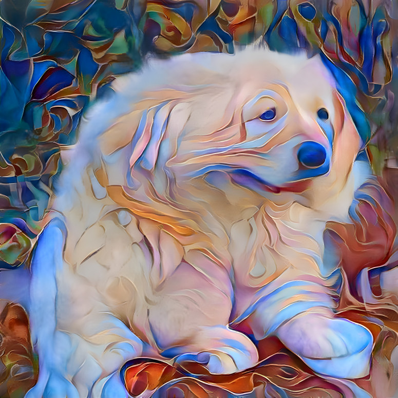 Psychedelic Puppy