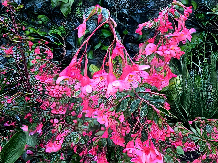 Fuschia