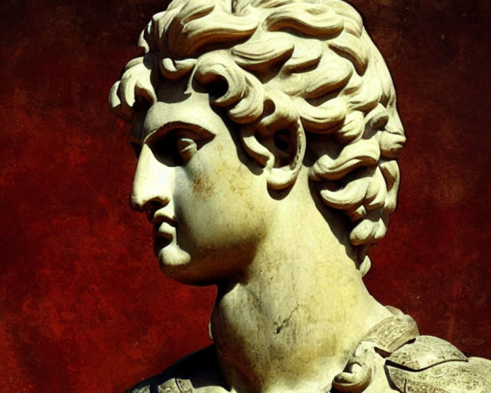 Classical marble bust of young man with curly hair and detailed armor on dark red background