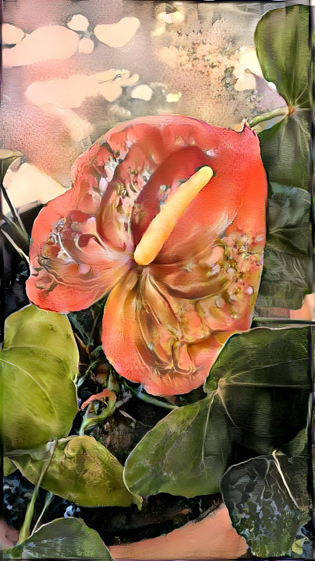 anthurium v3