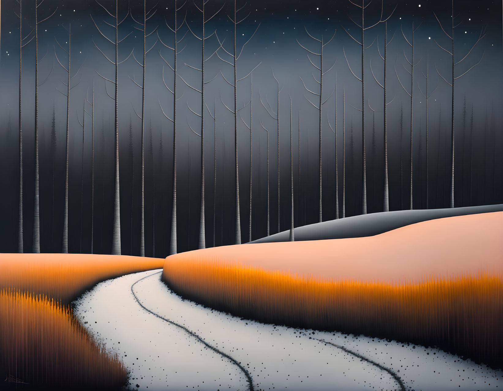 Snow-covered landscape with winding path & silhouetted trees under starry night sky