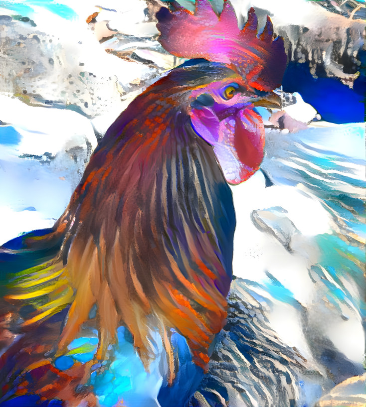 Rooster